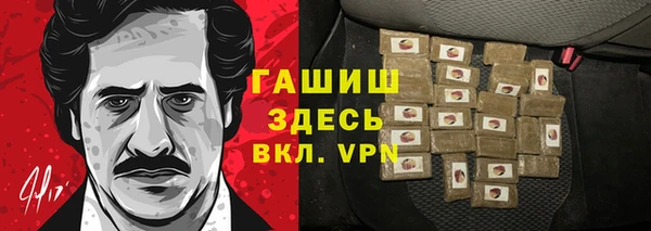 стафф Гусев