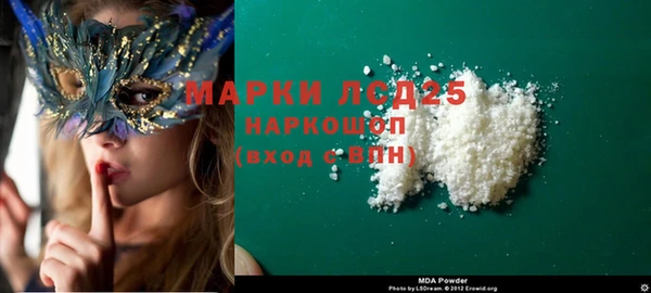 ECSTASY Гусь-Хрустальный