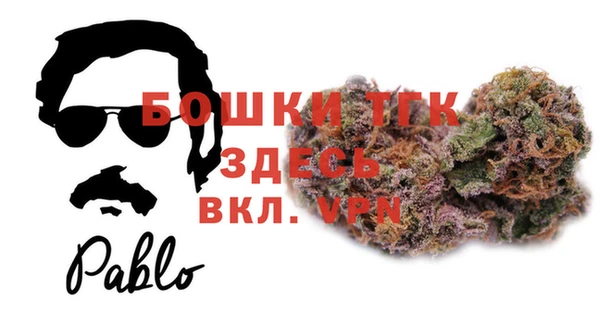 ECSTASY Гусь-Хрустальный