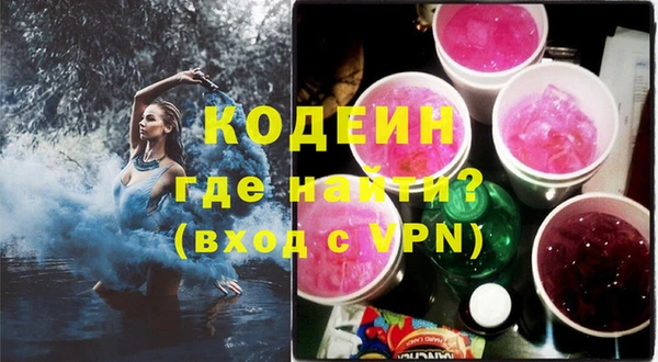 стафф Гусев