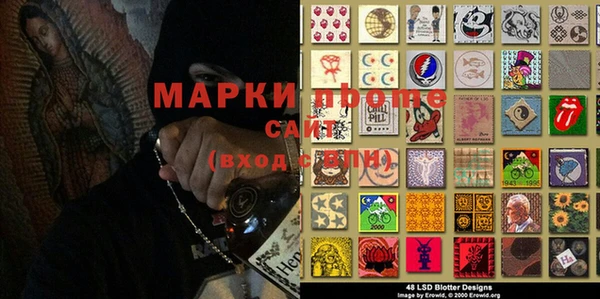 индика Осинники