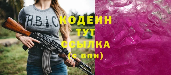 ECSTASY Гусь-Хрустальный