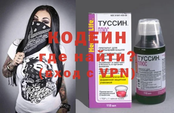 ECSTASY Гусь-Хрустальный