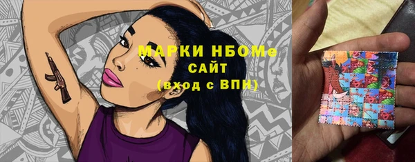 стафф Гусев