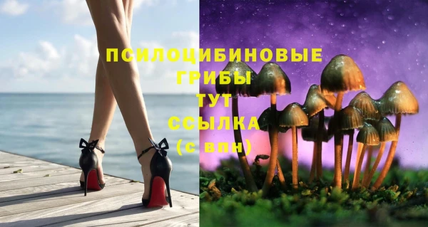 стафф Гусев
