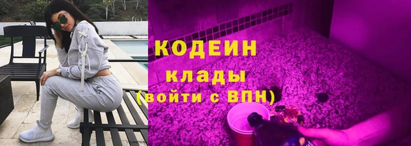 прущие грибы Тында