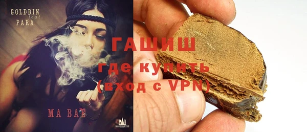 стафф Гусев