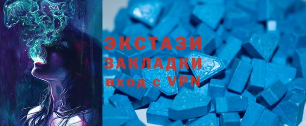 ECSTASY Гусь-Хрустальный